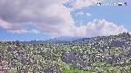 foresta1-20250728153016.jpg