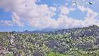 foresta1-20250728155014.jpg