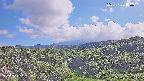 foresta1-20250728160014.jpg