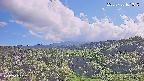 foresta1-20250728161016.jpg
