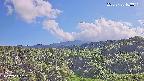 foresta1-20250728163015.jpg