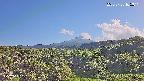foresta1-20250728165015.jpg