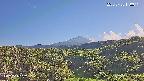 foresta1-20250728170015.jpg