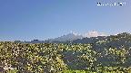 foresta1-20250728171016.jpg