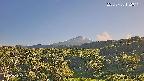 foresta1-20250728172016.jpg