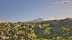 foresta1-20250728173016.jpg