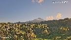 foresta1-20250728174016.jpg
