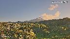 foresta1-20250728175017.jpg