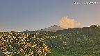 foresta1-20250728180016.jpg