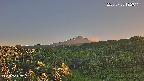 foresta1-20250728182016.jpg