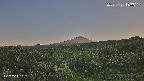 foresta1-20250728183016.jpg