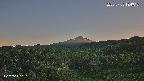 foresta1-20250728184014.jpg