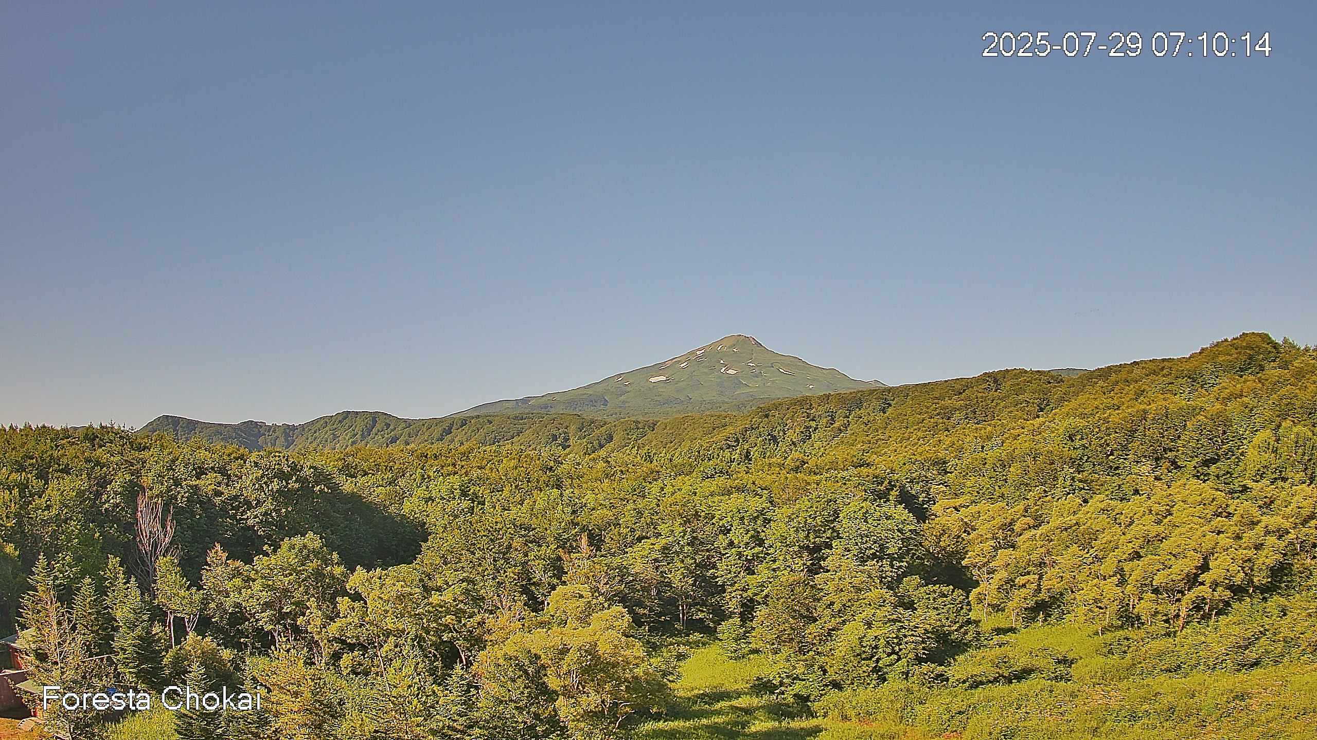 foresta1-20250729071016.jpg