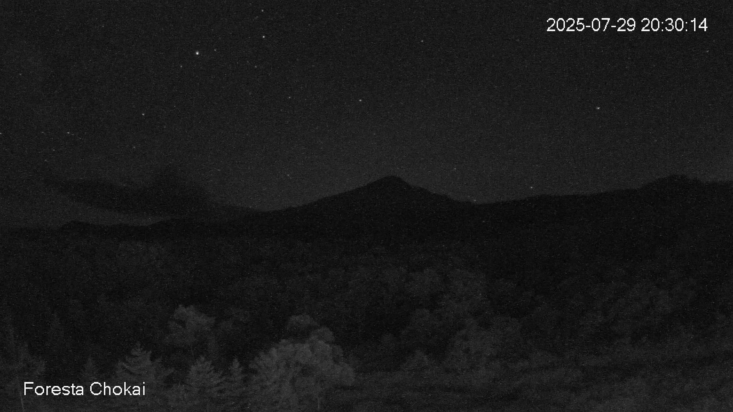 foresta1-20250729203014.jpg