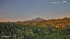 foresta1-20250731050016.jpg