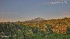 foresta1-20250731051120.jpg