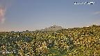 foresta1-20250731060015.jpg