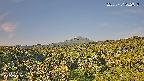 foresta1-20250731062047.jpg