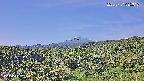 foresta1-20250731085016.jpg
