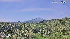 foresta1-20250731092015.jpg