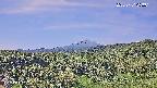 foresta1-20250731093015.jpg