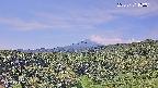 foresta1-20250731100015.jpg