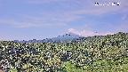 foresta1-20250731101015.jpg
