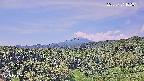 foresta1-20250731102015.jpg
