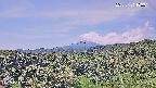 foresta1-20250731103015.jpg