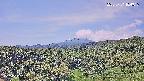 foresta1-20250731104016.jpg