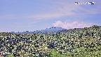 foresta1-20250731105015.jpg