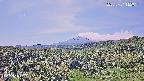 foresta1-20250731112015.jpg