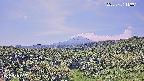 foresta1-20250731113015.jpg