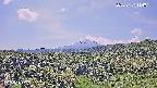 foresta1-20250731114016.jpg