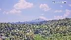 foresta1-20250731120015.jpg