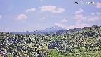 foresta1-20250731121015.jpg