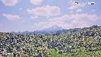 foresta1-20250731123015.jpg