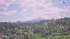 foresta1-20250731125015.jpg