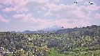 foresta1-20250731130015.jpg