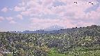 foresta1-20250731131015.jpg