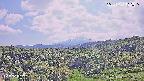 foresta1-20250731132015.jpg