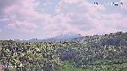 foresta1-20250731133015.jpg