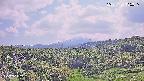 foresta1-20250731135015.jpg