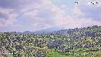 foresta1-20250731141015.jpg