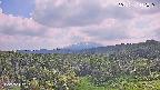 foresta1-20250731142015.jpg