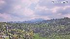 foresta1-20250731143030.jpg