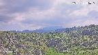 foresta1-20250731145015.jpg
