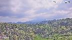 foresta1-20250731150046.jpg