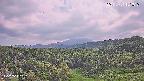 foresta1-20250731151015.jpg
