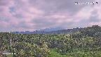 foresta1-20250731152016.jpg